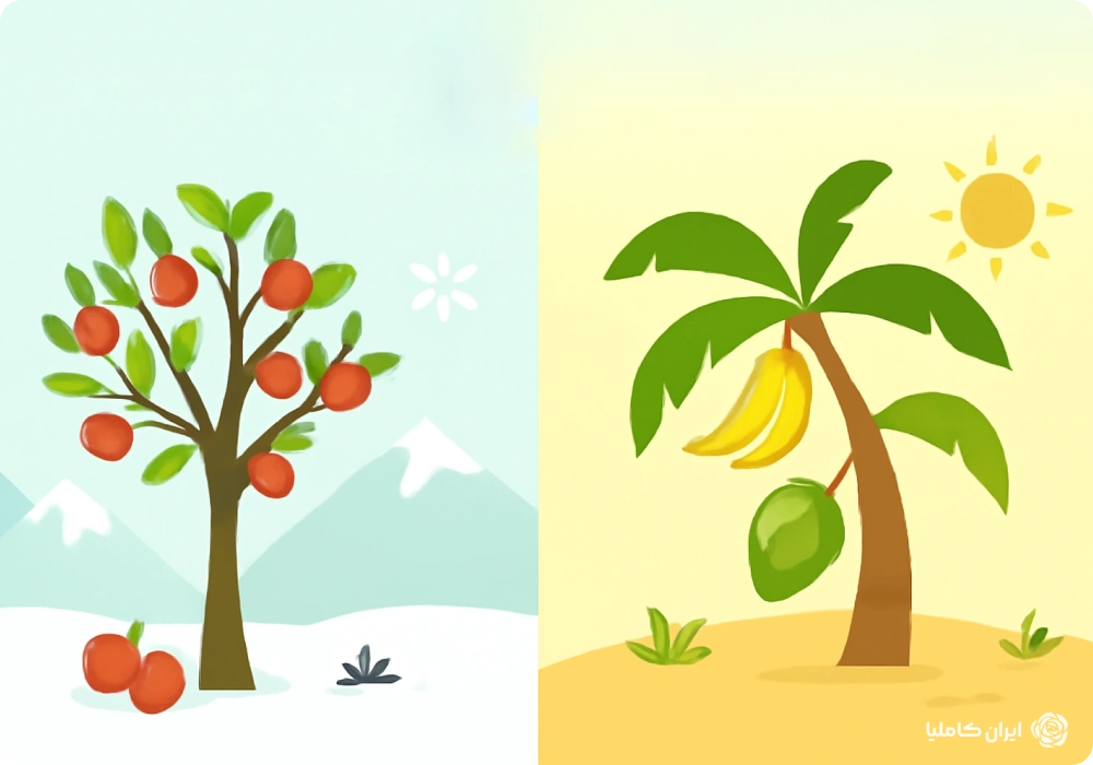 انتخاب بهترین درخت میوه متناسب با اقلیم ایران؛ از مناطق سردسیر تا گرمسیری